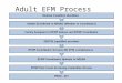 Adult EFM Process