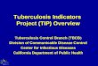 Tuberculosis Indicators  Project (TIP) Overview