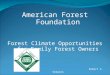 American Forest Foundation Forest Climate Opportunities for Family Forest Owners Robert S. Simpson