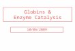 Globins & Enzyme Catalysis