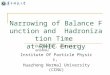 Narrowing of Balance Function and  Hadronization Time  at RHIC Energy