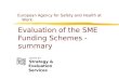 Evaluation of the SME Funding Schemes - summary