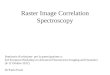 Raster Image Correlation Spectroscopy