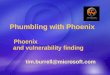 Phumbling  with Phoenix  Phoenix   and  vulnerability finding