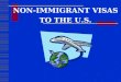NON-IMMIGRANT VISAS TO THE U.S