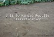 Unit 6b Kansas Reptile Classification
