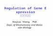 Regulation of Gene Expression 基因表达调控