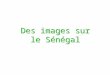 Des images sur le Sénégal
