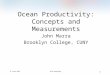 Ocean Productivity: Concepts and Measurements