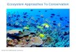 Ecosystem Approaches To Conservation