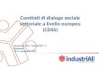 Comitati di dialogo sociale settoriale a livello europeo (CDSS)