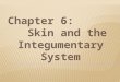 Chapter 6:         Skin and the Integumentary System