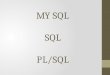 MY  SQL SQL PL/SQL