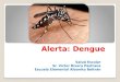 Alerta : Dengue 