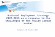 National Employment Strategy 2007-2013 as a response to the challenges of the Polish labour market