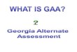 WHAT IS GAA?