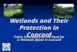Wetlands and Their Protection in Concord