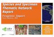 Species and Specimen Thematic Network Report
