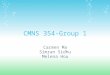 CMNS 354-Group 1