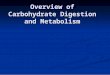 Overview of Carbohydrate Digestion and Metabolism