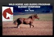 Wild Horse and Burro Program Budget Overview by  Holle’ Hooks