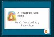 Oral Vocabulary Practice