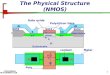 The Physical Structure (NMOS)