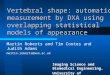 Vertebral shape: automatic measurement by DXA using overlapping statistical models of appearance