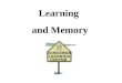 Learning  and Memory