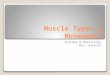 Muscle Types &  Movements
