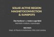 Solar ACTIVE REGION MAGNETOCONVECTION  & SUNSPOTS