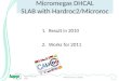 Micromegas  DHCAL SLAB  with  Hardroc2/ Microroc