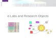 e-Labs and Research Objects