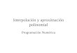 Interpolación y aproximación polinomial