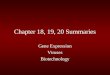 Chapter 18, 19, 20 Summaries