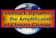 Feedback Dynamics &  the Amplification of Climate Change