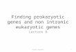 Finding  prokaryotic genes and non  intronic  eukaryotic genes