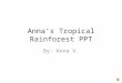 Anna’s Tropical Rainforest PPT