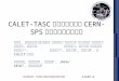 CALET-TASC プロトタイプの CERN-SPS による性能実証試験