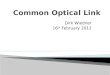 Common Optical Link