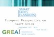 European  Perspective  on Smart  Grids
