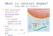 What is central dogma? From DNA to Protein