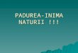 PADUREA-INIMA NATURII !!!