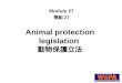 Animal protection legislation  動物保護立法