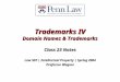 Trademarks IV Domain Names & Trademarks