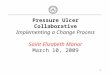 Pressure Ulcer Collaborative Implementing a Change Process Saint Elizabeth Manor March 10, 2009