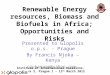 Renewable Energy resources, Biomass and Biofuels in Africa; Opportunities and Risks