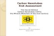 Carbon Nanotubes  Risk Assessment