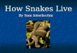 How Snakes Live