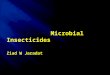 Microbial  Insecticides Ziad W Jaradat